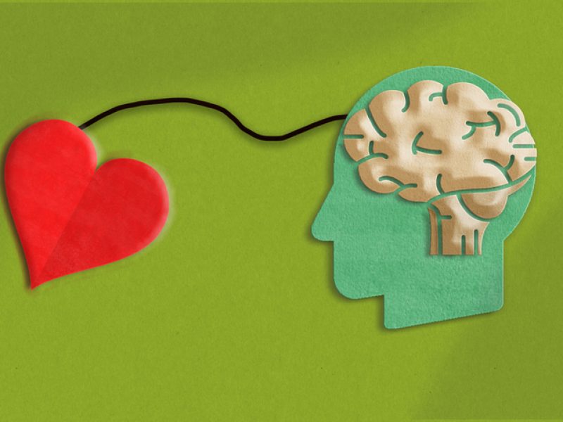 brain and red heart connected.Emotional intelligence concept in paper cut in green background